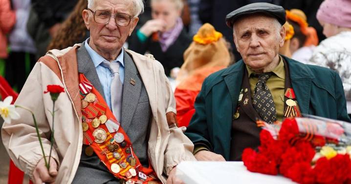 Chicago Veterans Day 2025: Parades, ceremonies & family events honor heroes