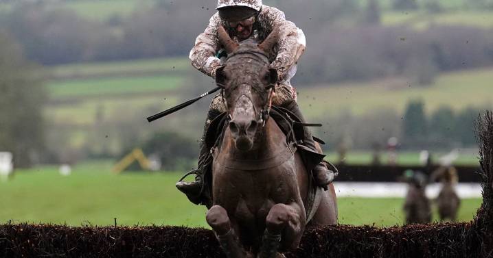 'He has always looked the type to take his game to another level over larger obstacles’