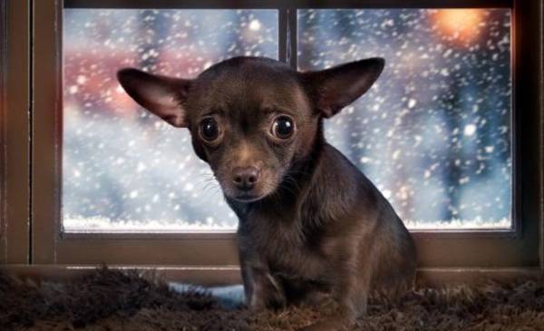 El miércoles arrancó con cielo amenazante y fresco en La Plata: ¿llueve o repunta?