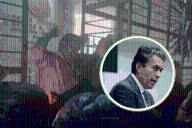 “Huele a persecución política”, denuncia diputado Avelino Tovar ante caso de regidor del Partido Verde en Actopan