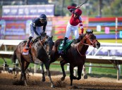 Breeders’ Cup: Japan’s Forever Young beats his rivals in the Classic