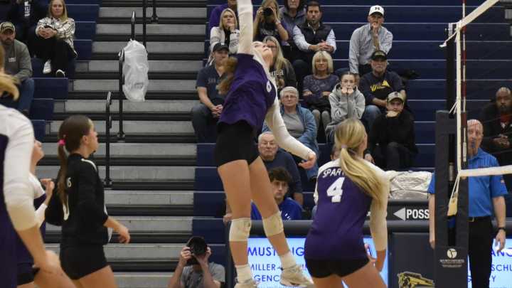 PHOTOS: Lakeview at Division 1 volleyball district semifinals