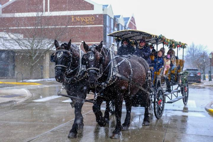 Things to do in Metro Detroit, Nov. 28 and beyond