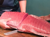 Qué es el ronqueo y su importancia gastronómica