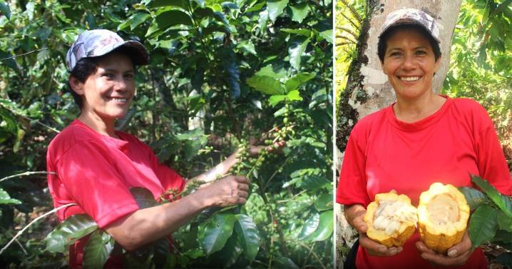 El proyecto que salvó de la depresión y el dolor a 25 mujeres cafeteras de Santander