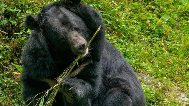 Inicia el Corredor Biocultural Frontera Norte en Coahuila con inversión de 6 millones