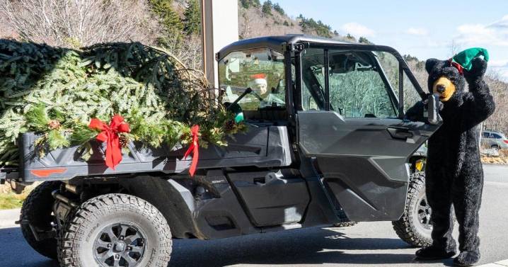 Grandfather Mountain to kick off holiday season with tree arrival and festivities
