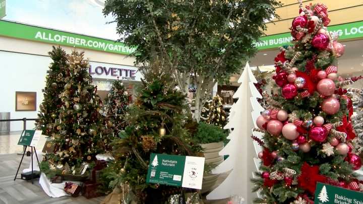 The People's City Mission kicks off annual Christmas tree tour at Gateway Mall