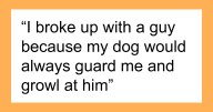 29 Borderline Crazy Things People Were Down To Do For Their Dogs