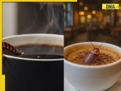 Will you taste this Rs 570 unusual coffee in China, served with something unexpe