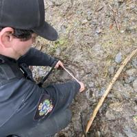 Officers search for bear after for B.C. attack, nation fundraising for victims