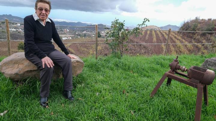 María Peñate: “Me gustaría que en Canarias todo el mundo tenga su vino”