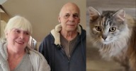 Family impacted by Hurricane Helene reunited with cat after more than 400 days apart