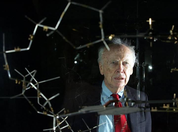 Muere James Watson, el controversial científico que reveló la estructura del ADN y ganó un premio Nobel