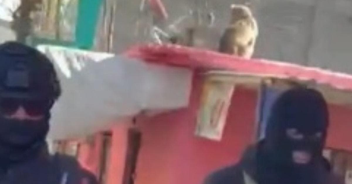 VIDEO | Golpe a la delincuencia organizada: cae 'El Sambo' en San Felipe de Jesús