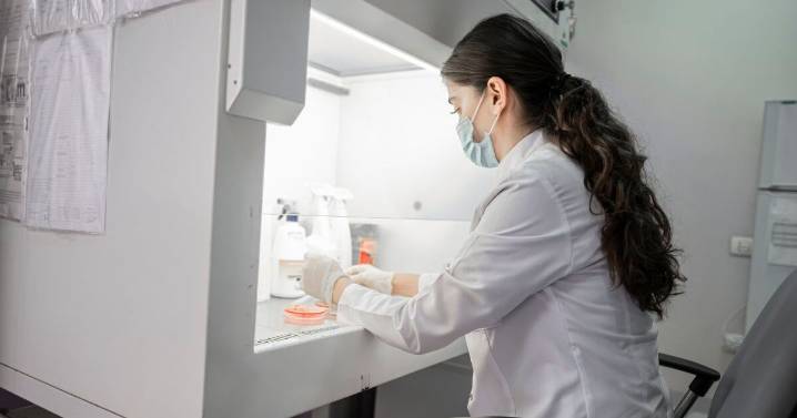 Bebés genéticamente modificados: qué busca el proyecto Preventive financiado por multimillonarios de Silicon Valley