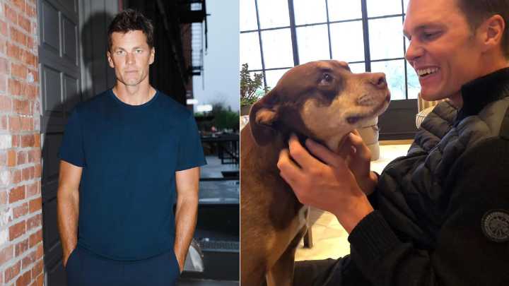 Exjugador de la NFL Tom Brady revela que su nuevo perro es un clon de su mascota fallecida Lua: 'Una segunda oportunidad'