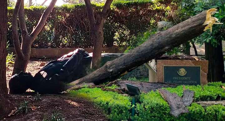 Sigue en el suelo la estatua de Felipe Calderón tras caída en Los Pinos: ¿por qué no la levantan?