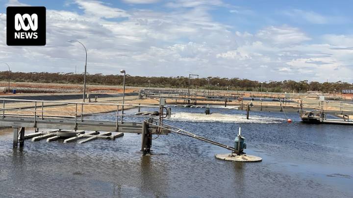 The smell is so bad in Kalgoorlie-Boulder, residents have given it a name and launched a petition