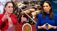 Sheinbaum se reúne con secretaria de Agricultura de EEUU: analizan reapertura de frontera a ganado mexicano