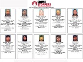 Los más buscados de la semana