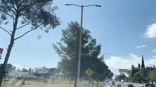 Tendrá Saltillo iluminada navidad; inicia renovación de alumbrado en acceso