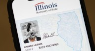Illinois se convierte en el primer estado de EE.UU. con licencia de conducir digital: cómo funcina y dónde se puede usar