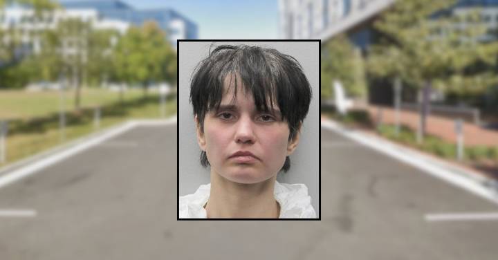 Woman stabbed her mom in the neck at her apartment before fleeing with their dog: Police