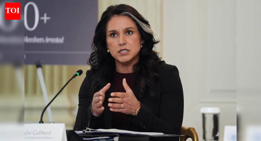 ‘Islamist terrorism is the greatest threat to United States’: DNI Tulsi Gabbard warns of ‘rising extremism’