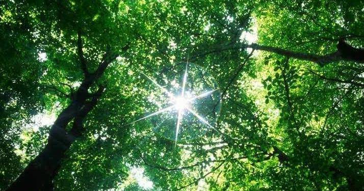 Need something to do? See events scheduled for McDowell County this week