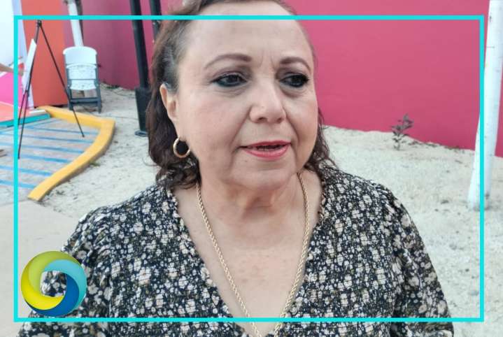 Colonias irregulares deben exigirle al ejidatario, no a gobierno: Alicia Ricalde