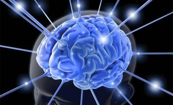 La adolescencia del cerebro humano se extendería hasta los 32 años