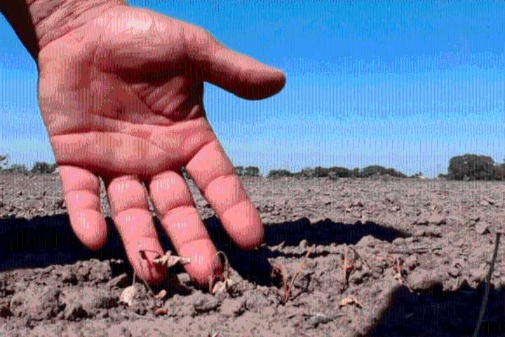 ¿Llega La Niña en noviembre? Cómo afectaría la temperatura y las lluvias en el Litoral