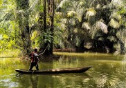 Tiwai: la isla africana de apenas 12 km² reconocida por la Unesco que alberga al misterioso hipopótamo pigmeo