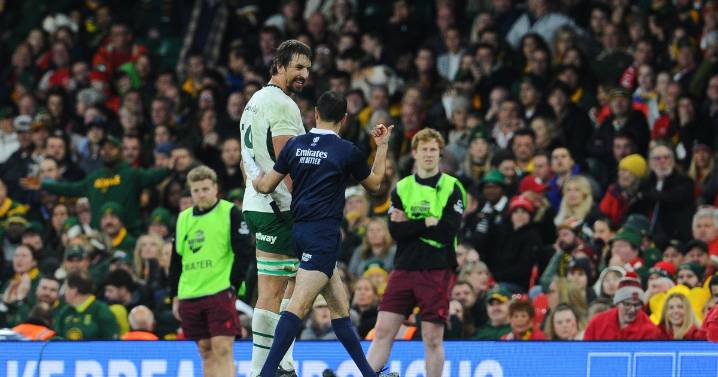 South Africa's Eben Etzebeth facing lengthy ban after horrific eye gouge vs Wales