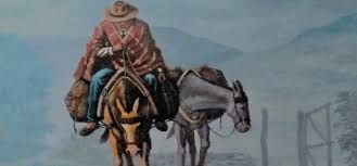 (VIDEOS) A preparar los abrigos: Entre diciembre y enero, temperaturas podrían bajar a 14 °C