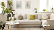 The Best Spot In The House For Your Indoor Plant, According To Feng Shui's Bagua Map