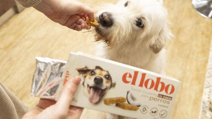 Navidad para todos: llega el primer turrón para perros