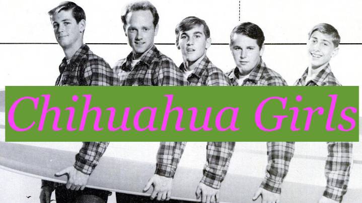 Beach Boys Record New Hit: "I Wish They All Could Be Chihuahua Girls"