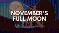 AST Blog: November's Full Moon is Here