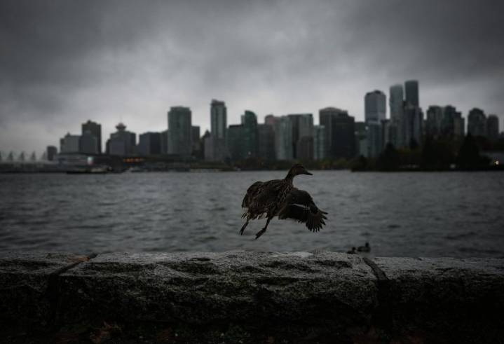 Heavy rain coming for parts of B.C.’s south coast: Environment Canada