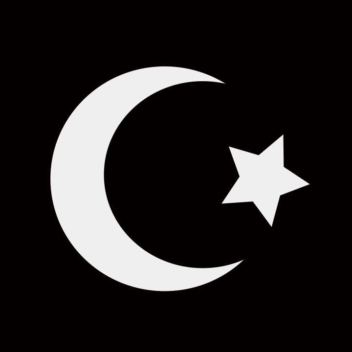 The Muslim Brotherhood Classified A Foreign Terrorist Organization In The United States