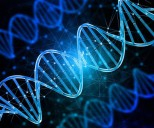 El ADN bajo la lupa: cómo se realizan las pruebas genéticas y qué información es realmente útil