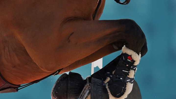 Thousands sign petition against plan to ‘weaken’ blood rules in horse sport