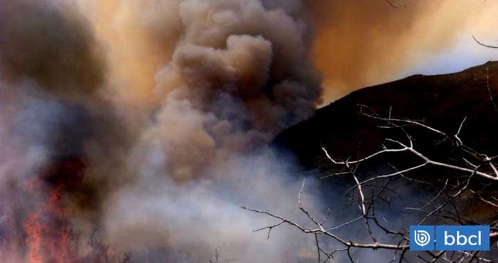 Condiciones meteorológicas impiden combatir incendio forestal en la cordillera en Alto Bío Bío