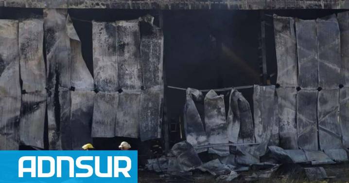 15:03 Investigan un posible incendio intencional que arrasó con un frigorífico en Neuquén