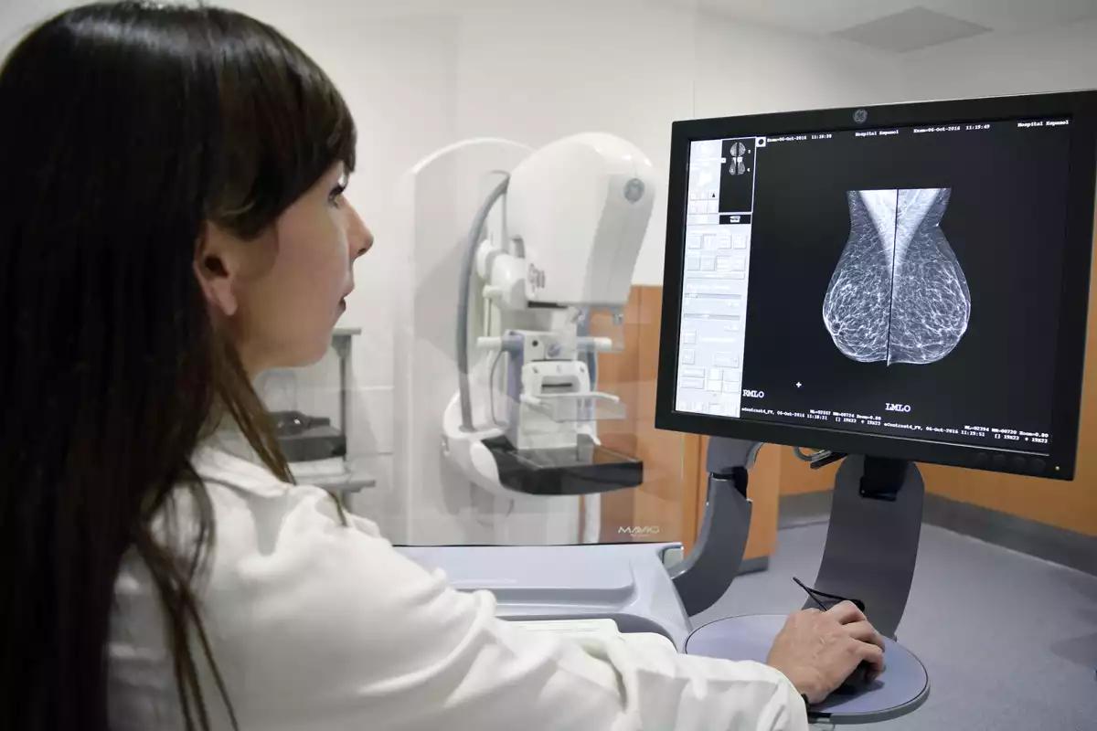 Caravana del Bienestar en Chetumal: Única fecha, horarios, requisitos y servicios