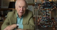 James Watson, who co-discovered the structure of DNA, has died at age 97