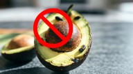 La palta se mantendrá fresca por hasta 120 días y sin moho si la guardás de esta forma en la cocina