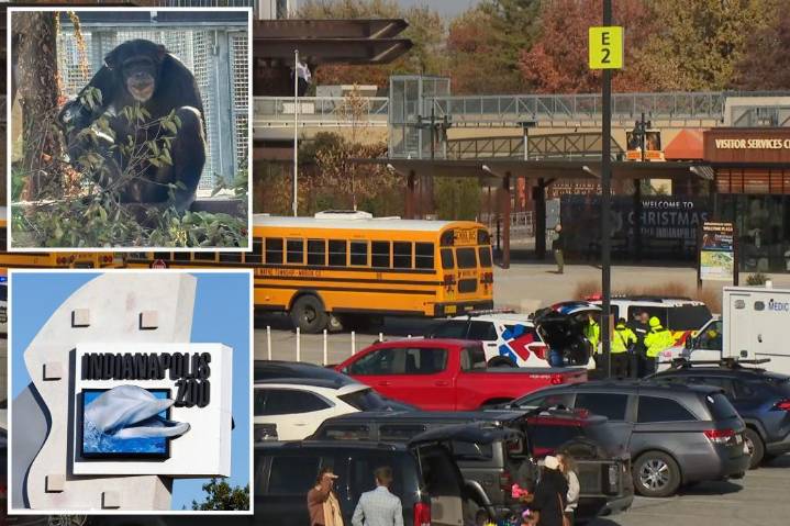 Chimp escapes Indianapolis Zoo enclosure, prompts lockdown with 37 kids on trip